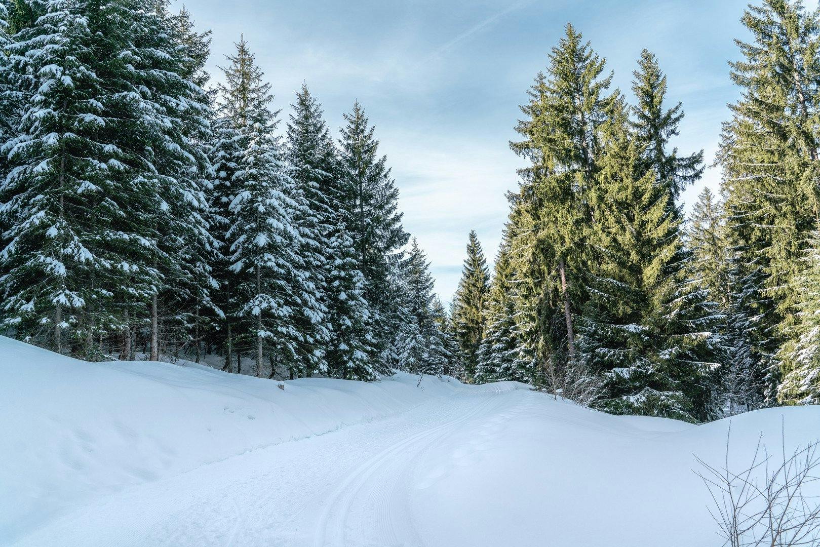 Führt durch romantische Winterwälder: Winterwanderweg.