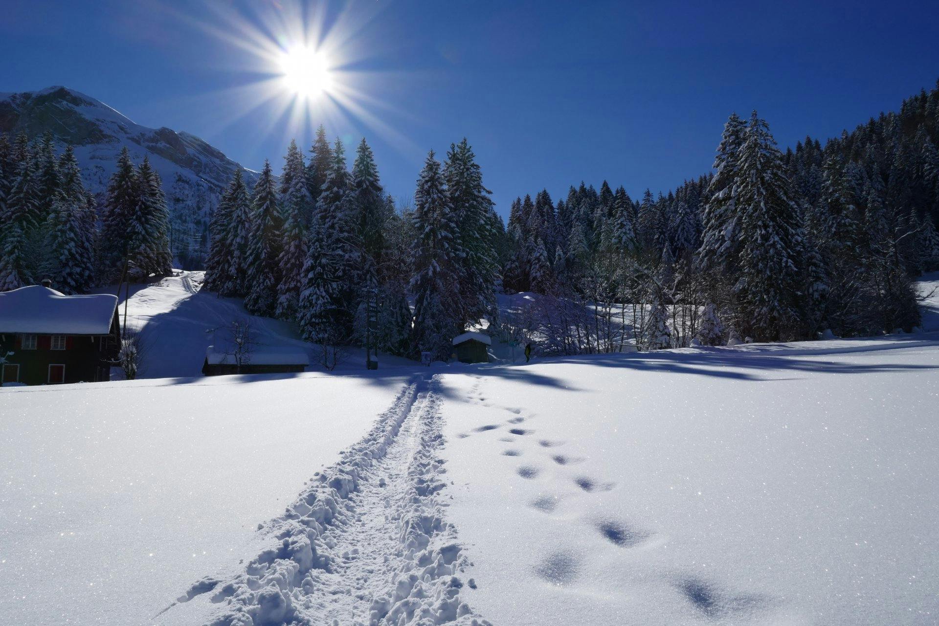 Das Eigenthal ist nur 40 Minuten von Luzern entfernt...