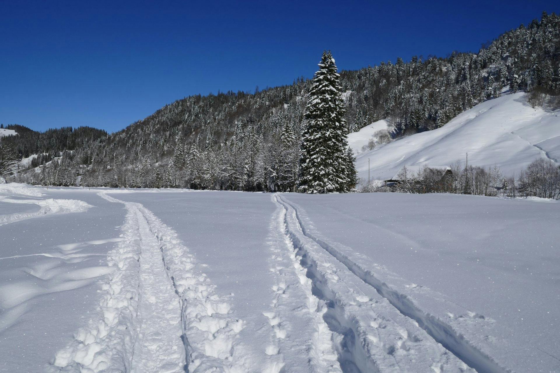 ... und ist optimal mit dem ÖV erschlossen.