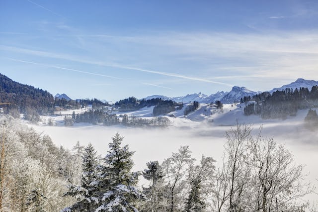 Magisch: Auch auf dem Bürgenstock ist man über der Nebelgrenze. Magisch: Auch auf dem Bürgenstock ist man über der Nebelgrenze.