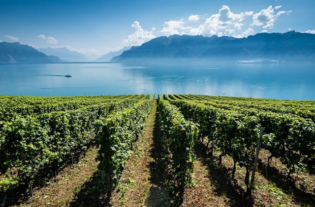 En Suisse, la présence des produits phytosanitaires dans les eaux fait l’objet d’une surveillance accrue.
