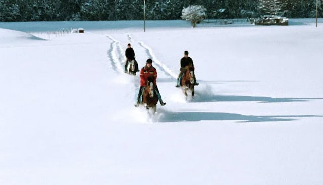 Une chevauchée féérique dans les paysages enneigés du Rhin antérieur: un conte de fées! Une chevauchée féérique dans les paysages enneigés du Rhin antérieur: un conte de fées!