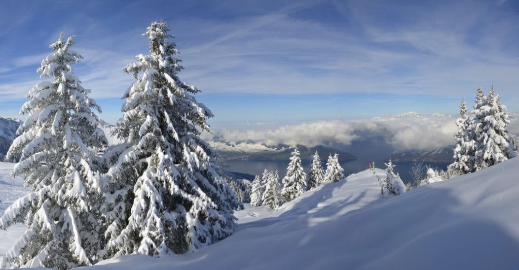 Die Landschaft ist einmalig: Ein Winterwald wie aus dem Bilderbuch.