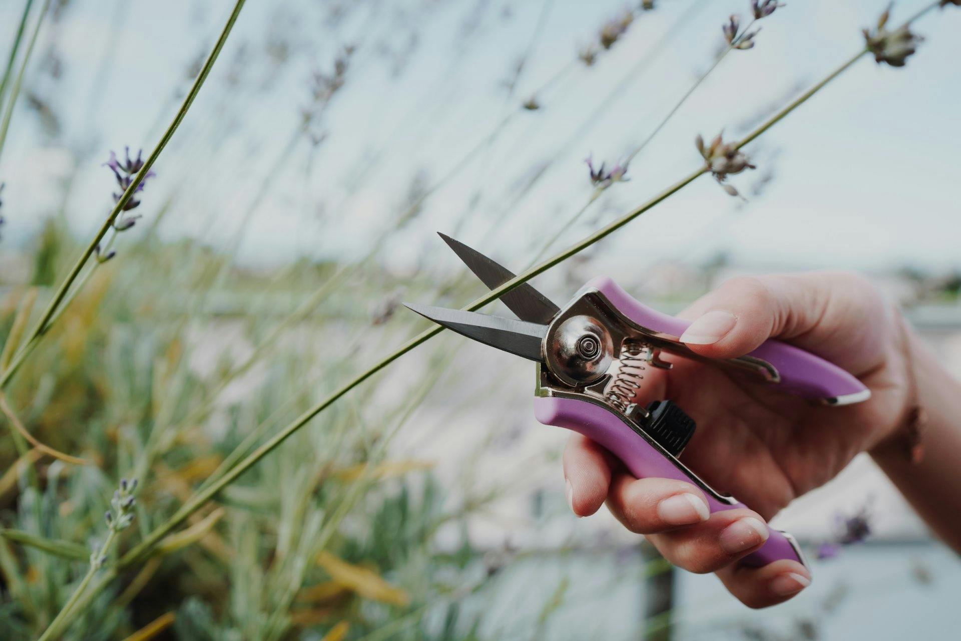 Si tu veux apporter une touche de couleur à tes outils, tu seras comblé. 