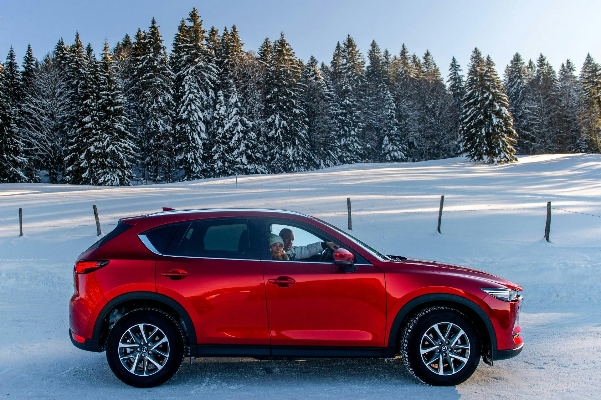 Sur le chemin du retour, le couple a jeté un dernier coup d'oeil en direction du ciel bleu.