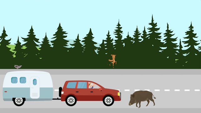 Testez vos connaissances en matière de code de la route sur routinier.ch.