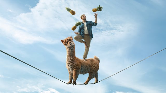 Job, Karriere und Freizeit - ein anspruchsvoller Balanceakt, der mit der FFHS gelingt.