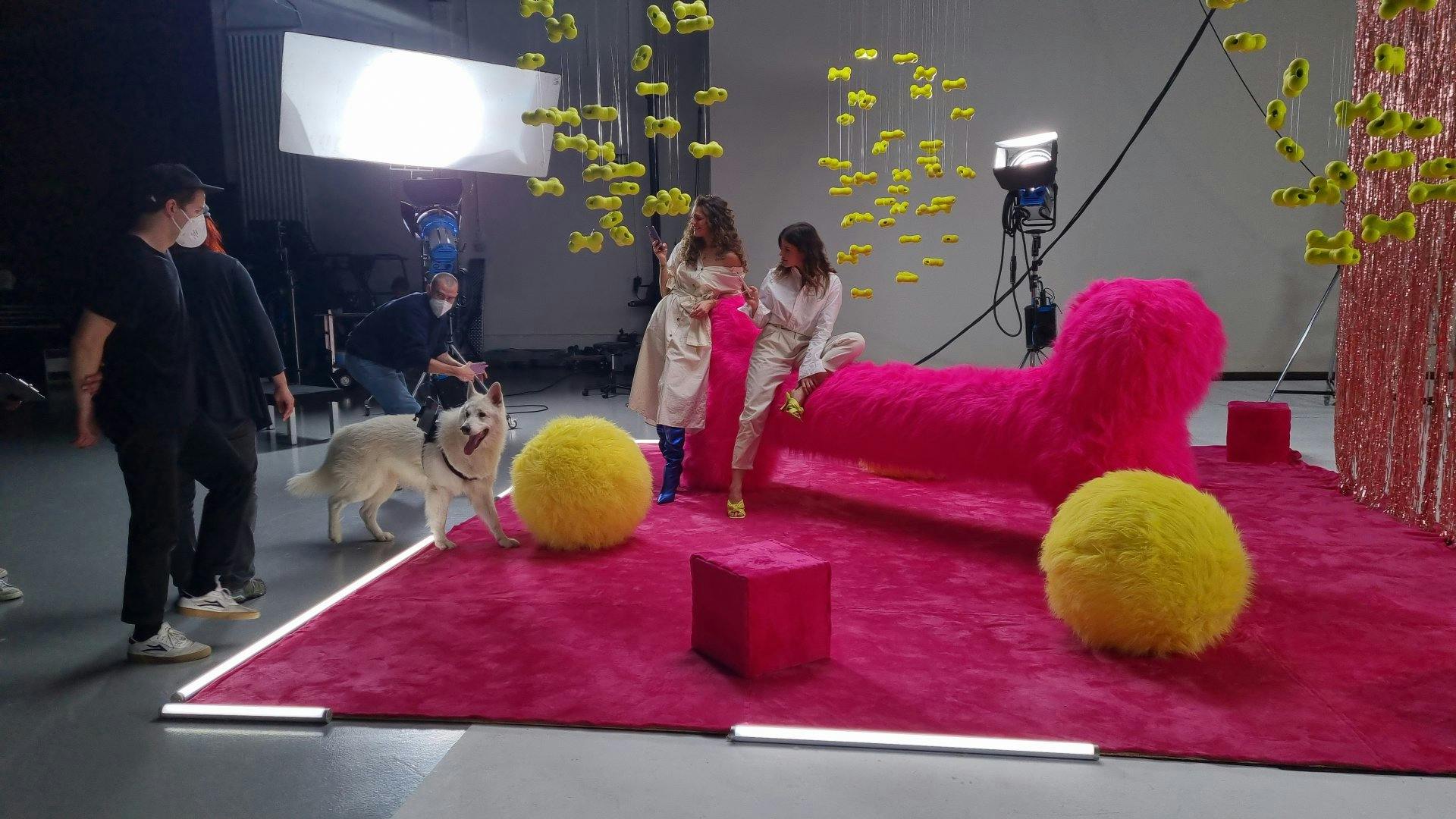 C'est comme s'il avait toujours fait ça. Rasta se déplace sur le plateau comme un vrai pro.