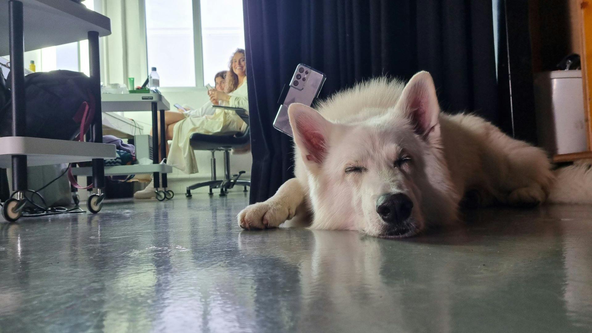 Même les plus belles journées ont une fin. Rasta est heureux, mais vanné.