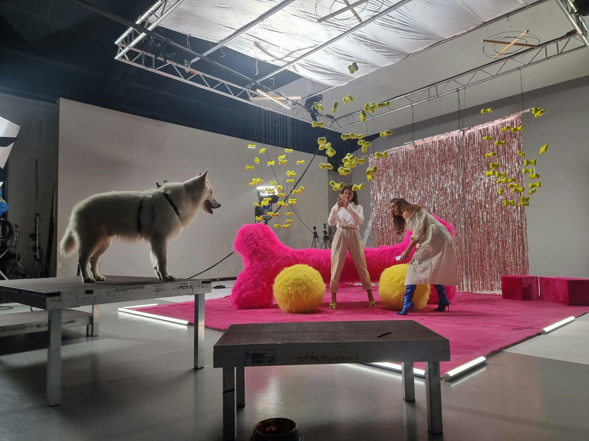 Une équipe de choc: le chien de berger Rasta et les influenceuses Michèle Krüsi et Minea Jud.