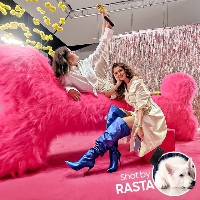 Un résultat qui a du chien: l’étonnant shooting de la campagne de et avec Rasta.