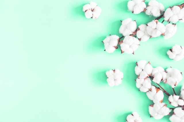 Au moment d’acheter des vêtements, il y a des matériaux
plus durables que d’autres à privilégier.