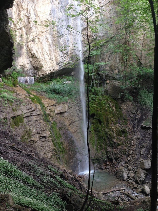 Discrètes: les chutes d’Erschwandenbach tombent dans le bassin rocheux, inondé de lumière.