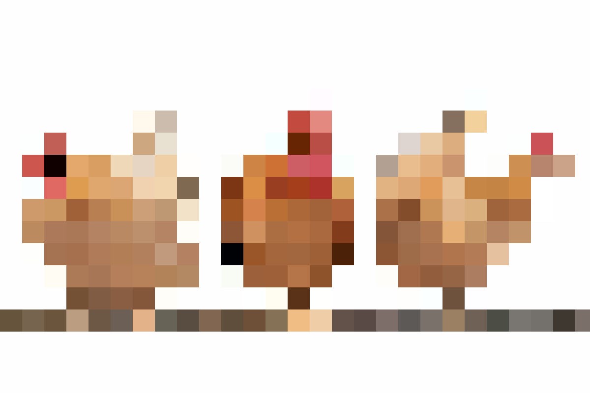 Nur die Henne zählt? Das war mal. Die Gleichberechtigung
im Hühnerstall hat einen Namen: Zweinutzungshuhn.