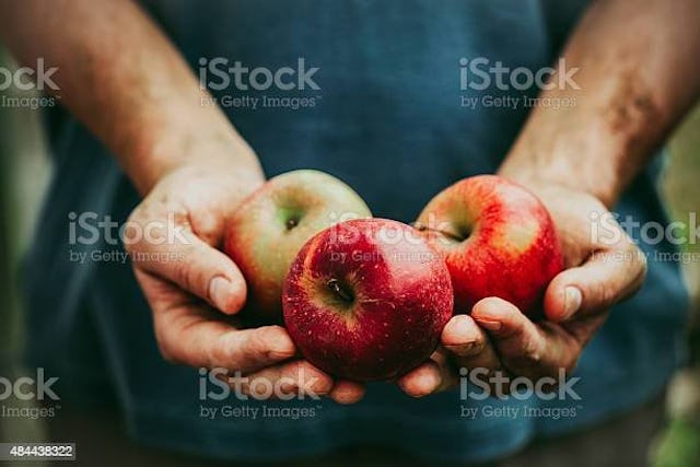 Oltre alla variante al limone, la birra senz’alcol è disponibile anche alla mela, un tipico frutto svizzero molto amato nel nostro Paese. Secondo Markus Brendel, è la bevanda ideale dopo lo sport. Oltre alla variante al limone, la birra senz’alcol è disponibile anche alla mela, un tipico frutto svizzero molto amato nel nostro Paese. Secondo Markus Brendel, è la bevanda ideale dopo lo sport.