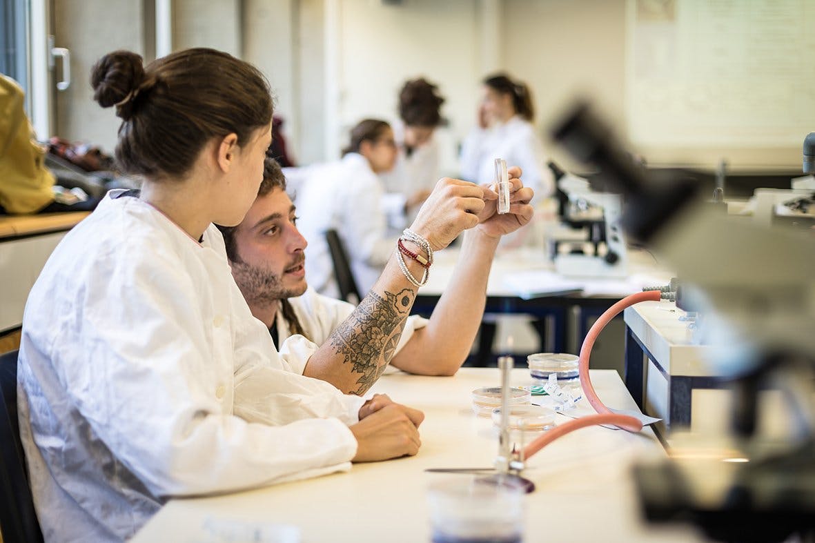 UniNE offre un large choix de cursus tout en évitant l’anonymat et la saturation des grands auditoires.