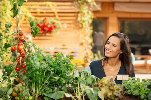 Faire son potager sur le balcon, ce n'est pas si compliqué avec les conseils de la maison Hauert.