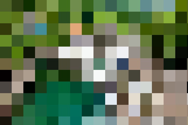 Von den fantastischen Tessiner Tälern ist das unter Naturschutz stehende Verzascatal eines der Aufregendsten.