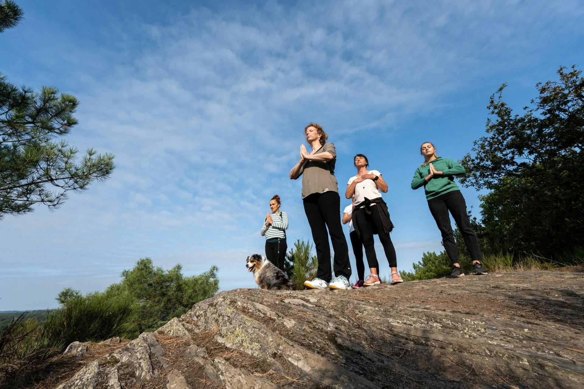 Venez faire du Yogiwalkie® en pleine nature entre les majestueux séquoias de la forêt de Redon.