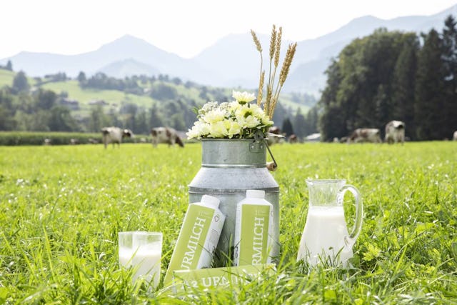 A2-Urmilch ist eine Frischmilch, die zurzeit nur als Pastmilch erhältlich ist. Dies in 99 ausgewählten Migros-Supermärkten der Genossenschaft Migros Aare.