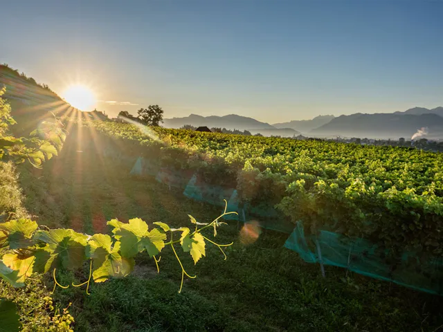 Das Paradies vor der Haustür: Die Schweiz bietet unzählige wunderbare Ausflugsziele.