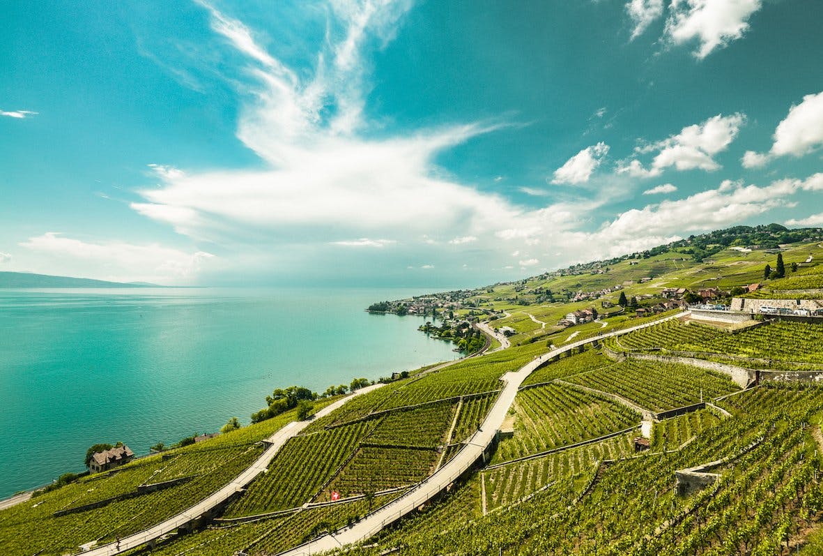 Vue du village d'Epesses (VD) sur les terrasses viticoles du Lavaux.