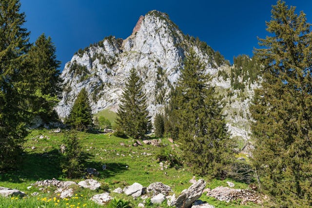 Der grosse Mythen ist das Wahrzeichen der Gemeinde Schwyz und belohnt den Aufstieg mit einem atemberaubenden Panorama.
