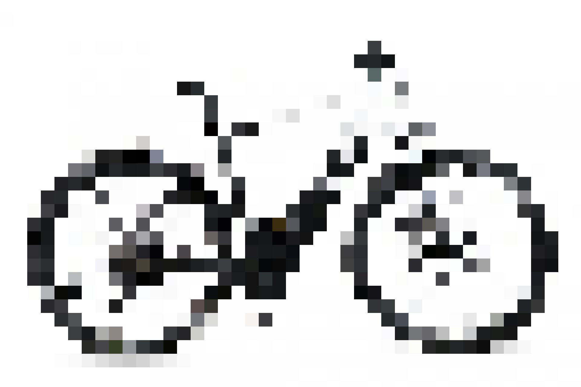 Für alle, die häufiger eine Velotour machen: Beim Touring-E-Bike «Aare» sitzt du sportlicher, hast 10 Gänge und für steile Passstrassen passende Brems...