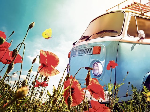 Nicht nur Camping an sich liegt im Trend.  Alte VW-Busse werden umgebaut und in kleine Wohnoasen umfunktioniert.