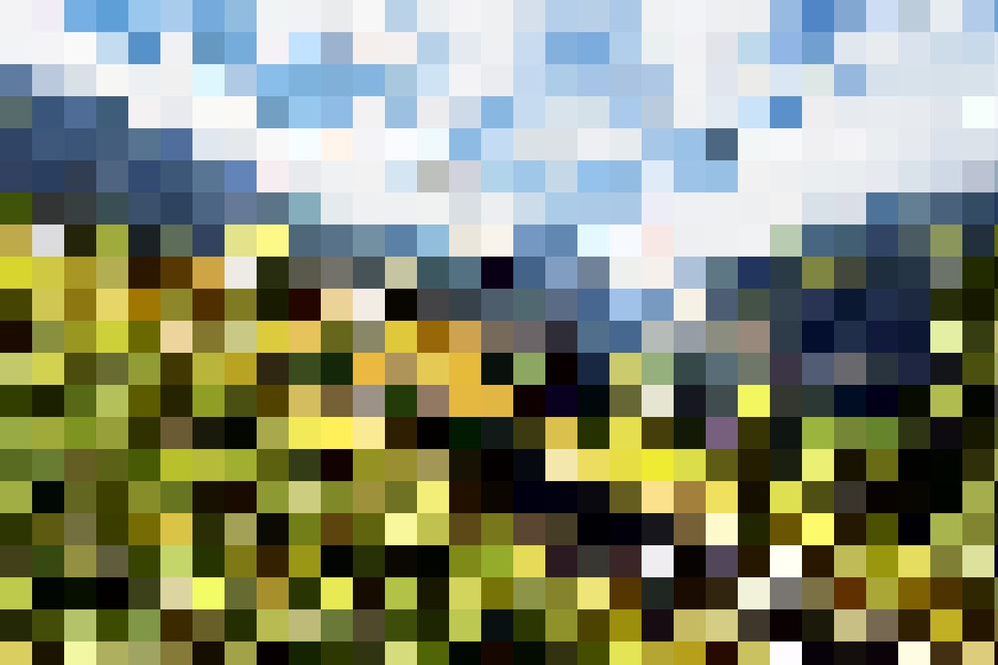Mit der Wengerenalp druch Wiesen mit leuchtende Alpenblumen und ab und zu ein Murmeltier, das unter lauten Pfiffen in einem Erdloch verschwindet.