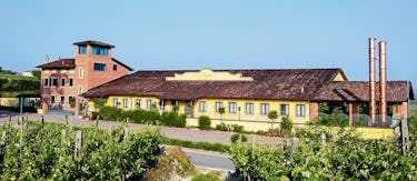 Barbaresco, Barbera, Barolo,  Grappe von Berta