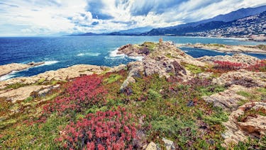 Wandern entlang des Blütenteppichs