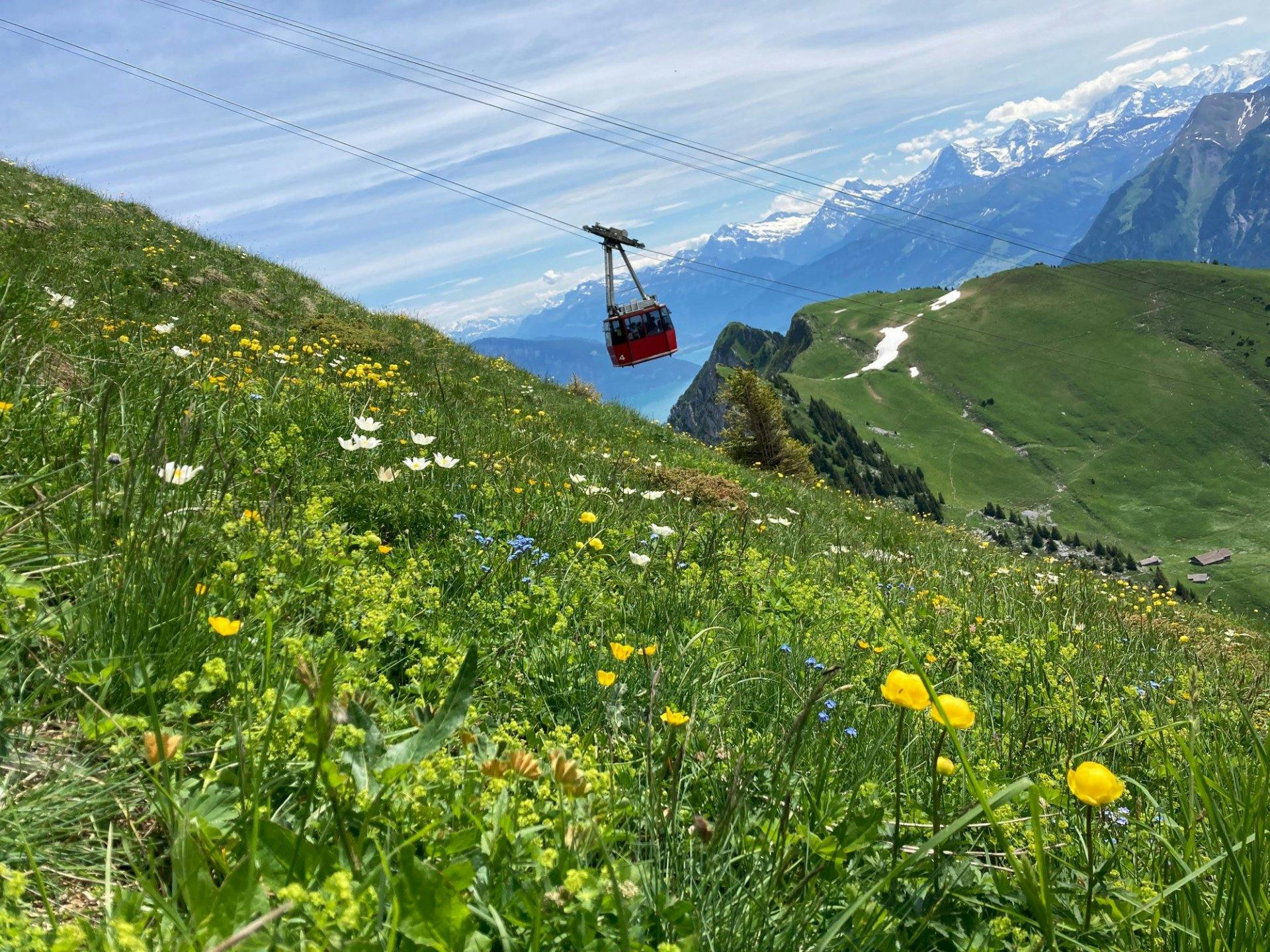 Die Stockhornbahn und im Hintergrund der Thunersee