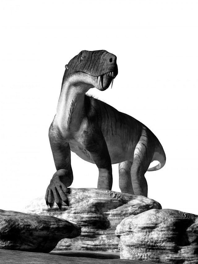 Avant que les vrais dinosaures ne fassent leur apparition, les reptiles mammaliens étaient déjà présents sur Terre. Ils proviennent de l’arbre généalogique qui allait ensuite être celui des mammifères. Pendant 
le Permien, ils sont devenus une vraie dynastie, dont l’un des membres les plus impressionnants était
l’inostrancevia. Il faisait penser à un énorme chien 
et ses dents ressemblaient à celles des mammifères. Ses canines lui permettaient de tuer ses proies. Une
dentition aussi spécialisée est habituelle chez les mammifères, mais pas tellement chez les reptiles.
L’inostrancevia était un chasseur terrifiant et pouvait atteindre quatre mètres de long. Mais, à la fin du
Permien, il ne faisait plus trop le malin. Juste avant le Trias, il a laissé la place aux dinosaures, qui allaient par la suite… Être remplacés par d’autres créatures terribles… Les humains.