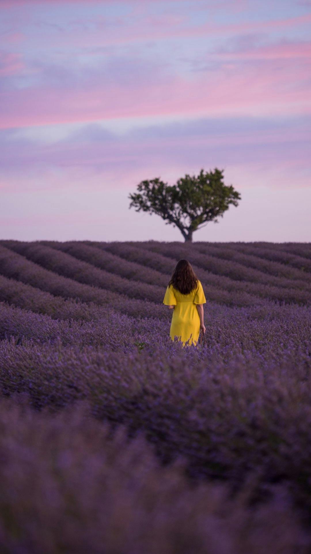 Wenn man Planung, Zeit und Mühe investiert, kann ein Ergebnis durchaus auch überraschend positiv ausfallen. Glück ist immer ein Teil des Erfolgs.