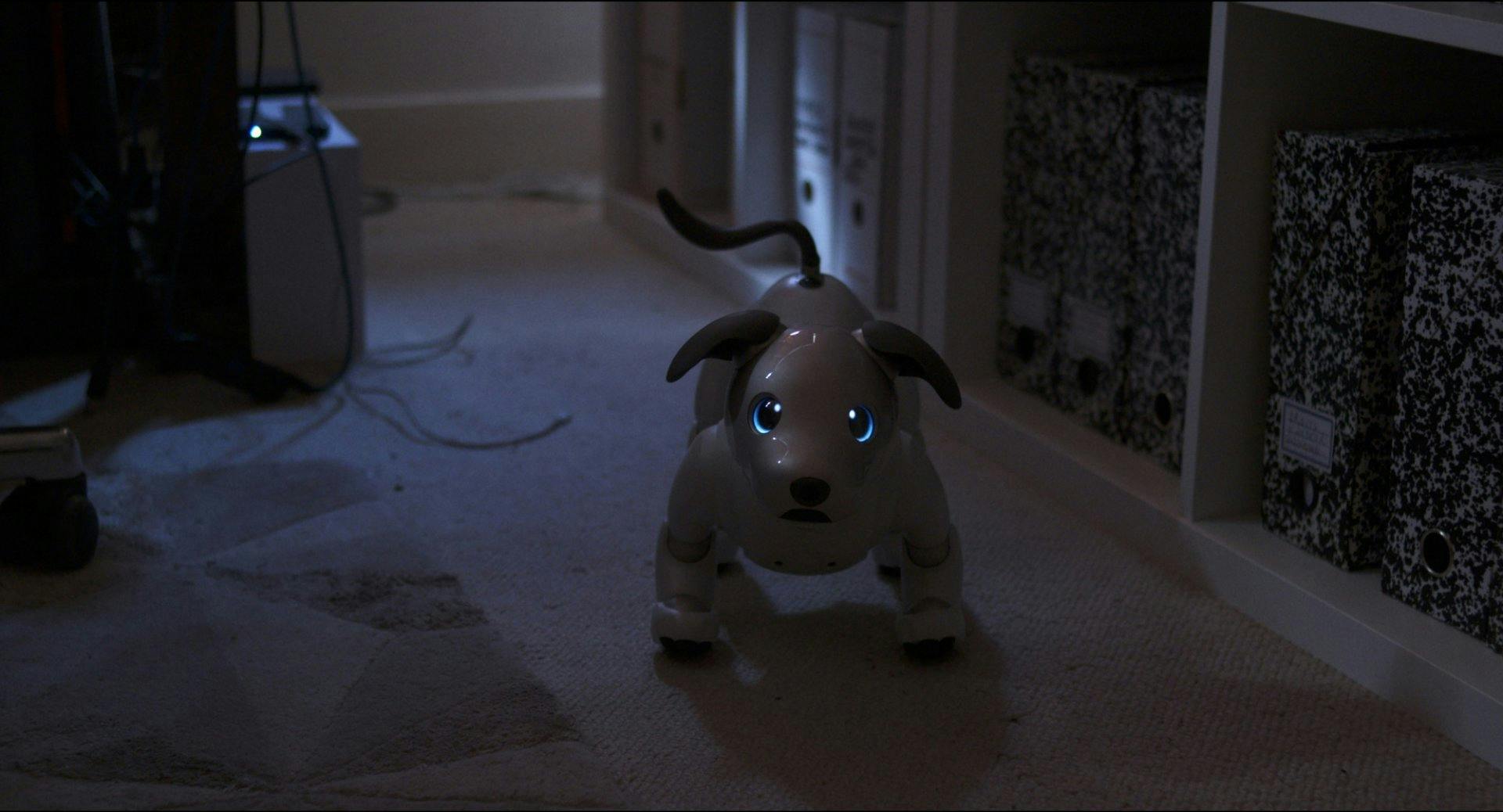 «The Brain» portraitiert fünf vollkommen verschiedene ...