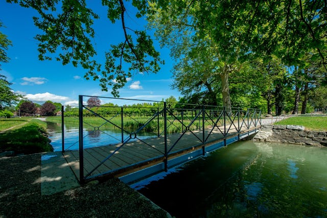 Gemütlichkeit hat Vorrang: Schattige Plätze und totale Entspannung.