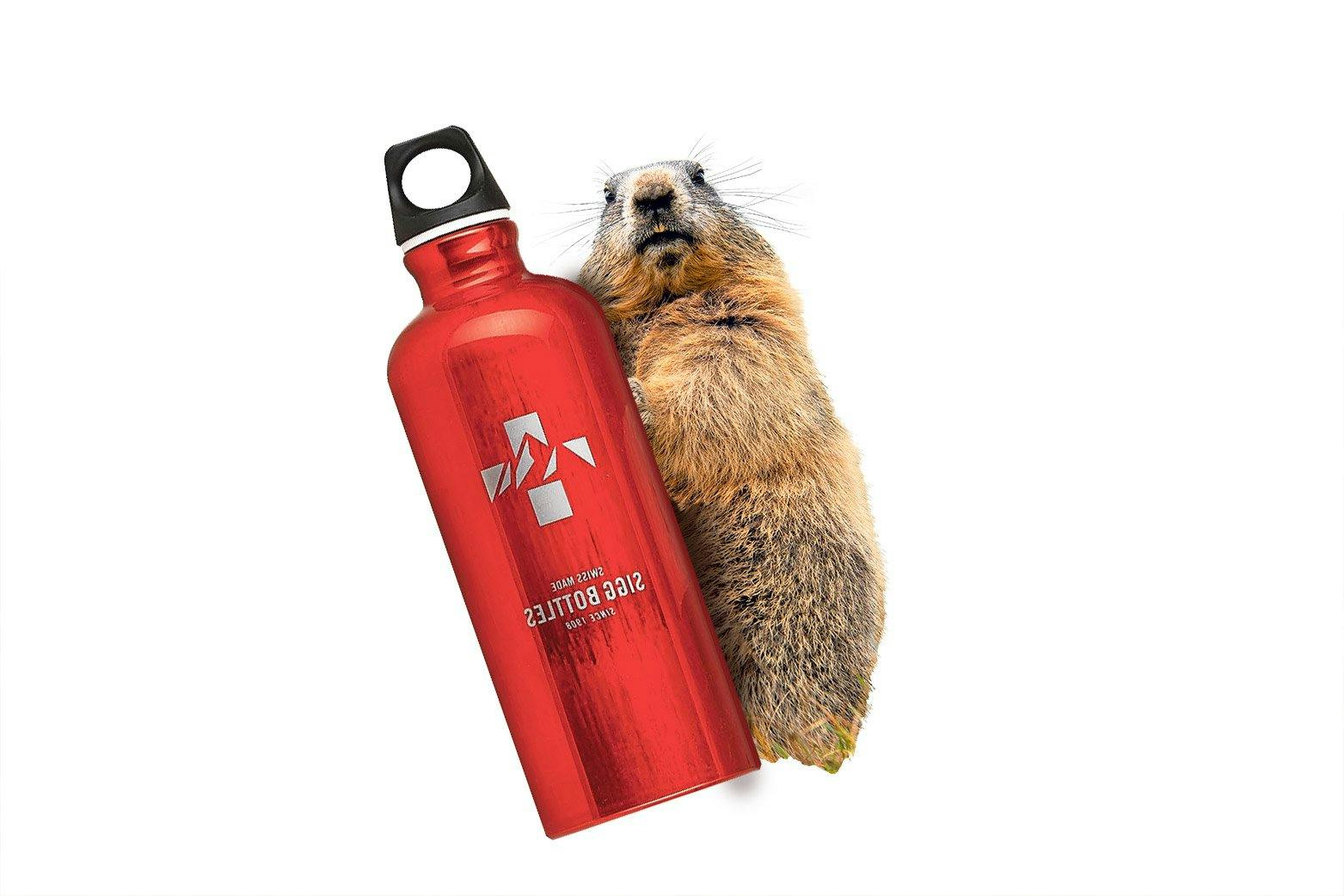 Ein Schluck und weiter! SIGG Bottle Mountain Red 0,6 l, Fr. 22.95, Coop Bau + Hobby.