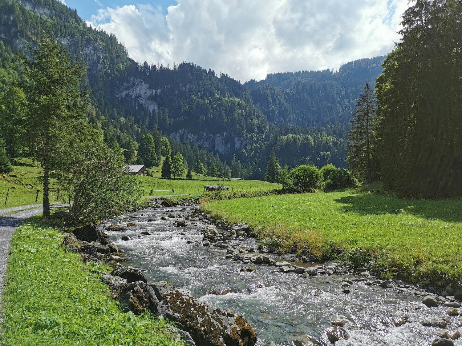 Parklandschaft – Das Giessbachtal ob den Wasserfällen ist dank seiner lieblichen, wunderbaren Landschaft ein echter Geheimtipp.
