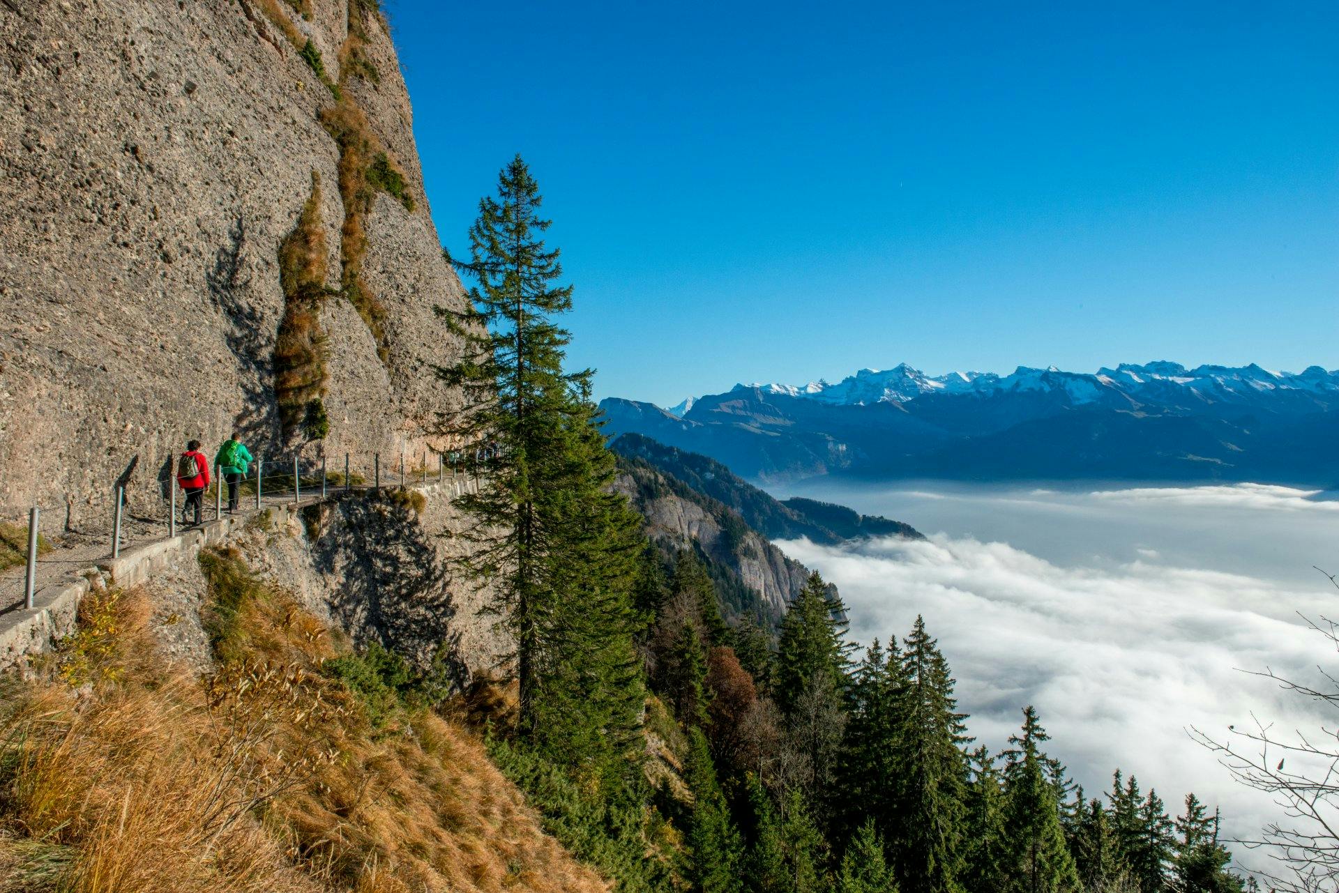 Atemberaubend: Die Wanderwege auf der Rigi bestechen mit traumhaftem Panorama.