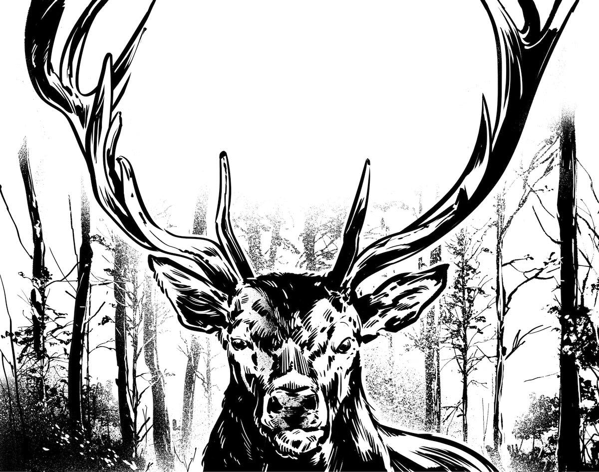 Einer der Brauer war ein begnadeter Jäger. Sein Name: Hubertus. Sein Blick: Finster. Klingt nach einem berüchtigten Typen? War er auch. Dieses Bier is...