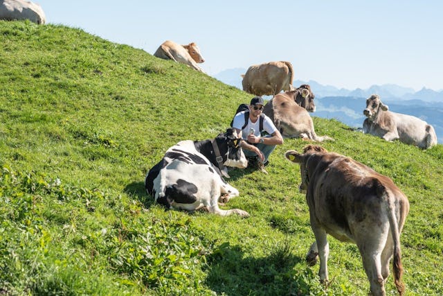 Neue Freunde: Janosch und die Kühe.