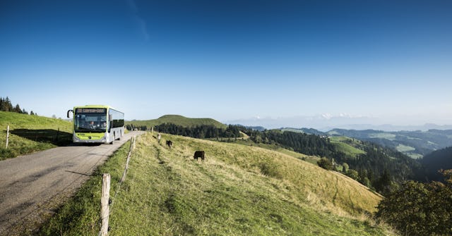 Ein prächtiges Bergpanorama von den Alpen bis zum Jura erfreut die Besucher*innen.