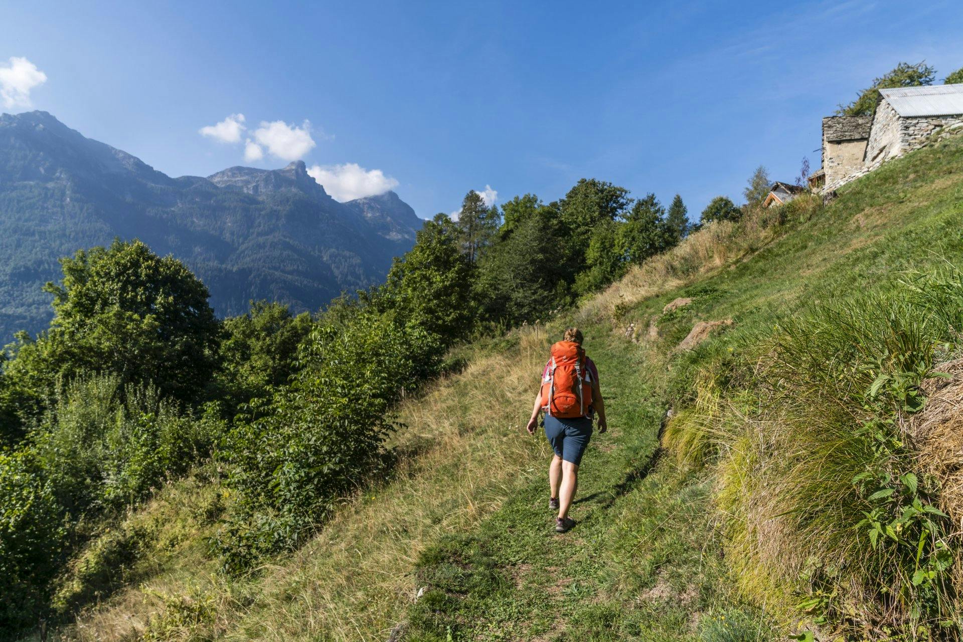 Der Pfad führt durch eine weitläufige Almenlandschaft bis zum Bosco delle Fate.