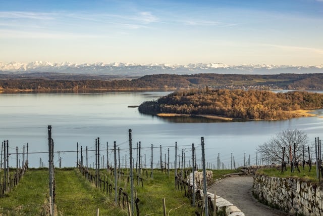 Der Bielersee ist im Spätsommer wunderschön.