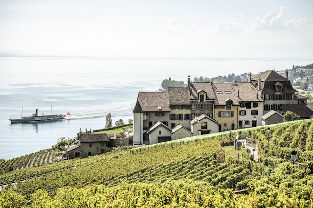 Genfersee, Rebwanderung im Lavaux