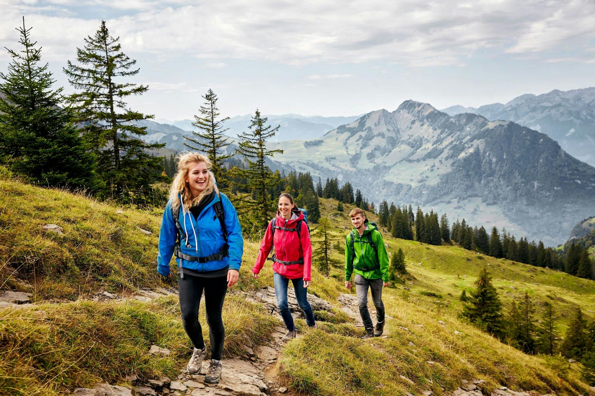 Aufstieg von Niederrickenbach zur SAC-Hütte Brisenhaus