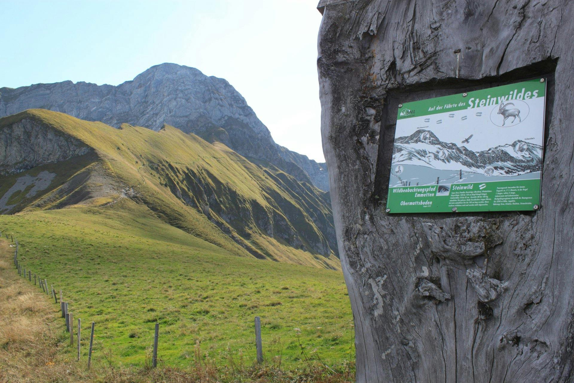 Wildbeobachtungspfad Emmetten