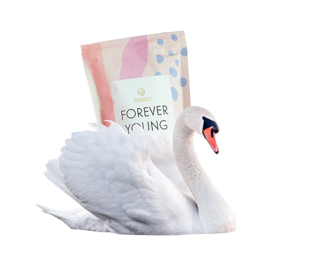 Jungbrunnen: Badezusatz «Forever Young» von Musee, Fr. 29.90, bei Import Parfumerie.