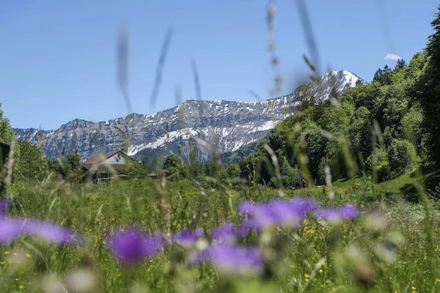 Vorbei an schönen Landschaften